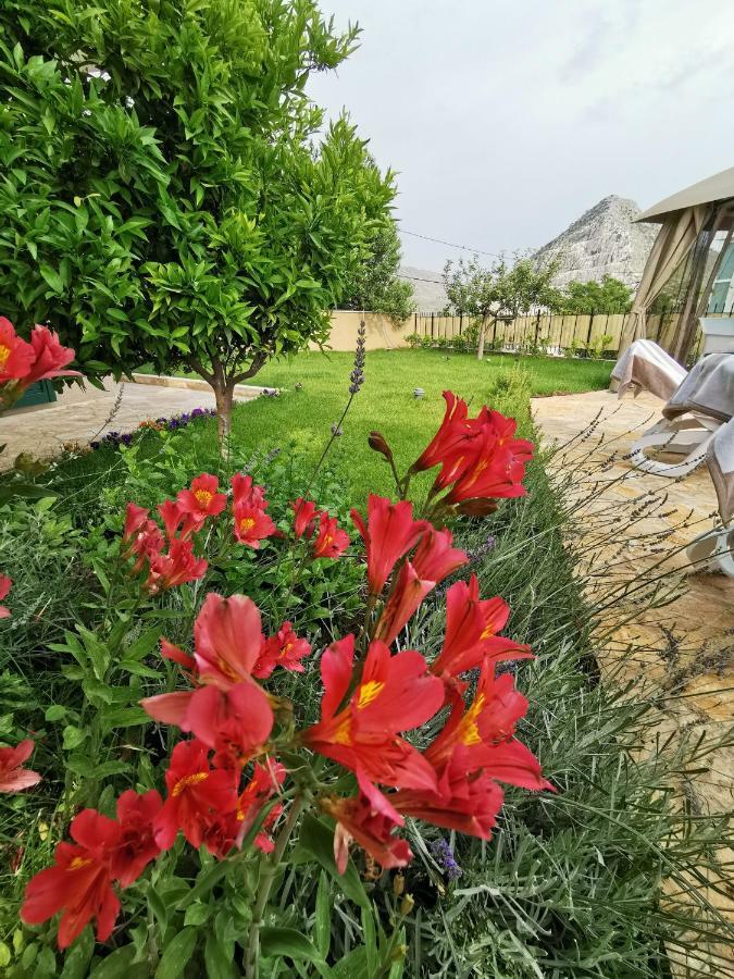 Villa Mater - Luxuriously Equipped Villa With A 15M Long Swimming Pool Zrnovnica Bagian luar foto